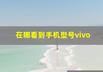 在哪看到手机型号vivo