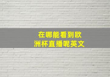 在哪能看到欧洲杯直播呢英文