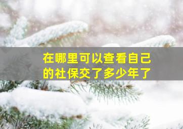 在哪里可以查看自己的社保交了多少年了