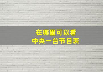 在哪里可以看中央一台节目表