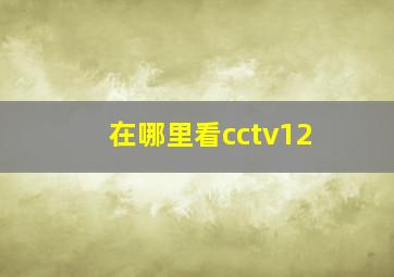 在哪里看cctv12