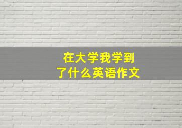 在大学我学到了什么英语作文