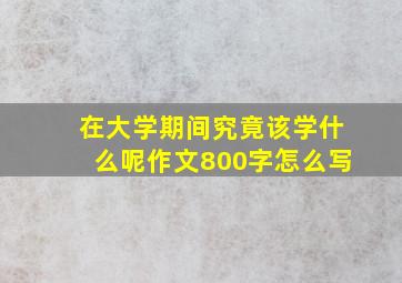 在大学期间究竟该学什么呢作文800字怎么写