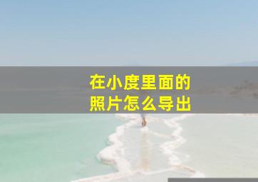 在小度里面的照片怎么导出