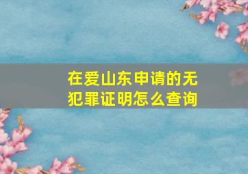 在爱山东申请的无犯罪证明怎么查询