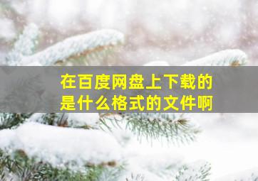 在百度网盘上下载的是什么格式的文件啊