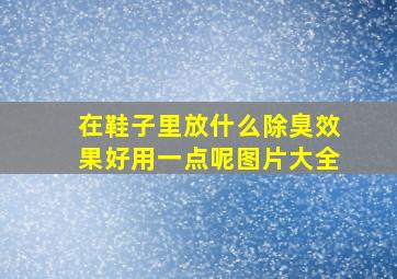 在鞋子里放什么除臭效果好用一点呢图片大全