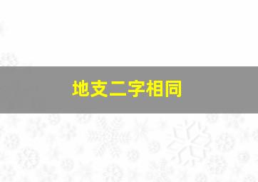 地支二字相同