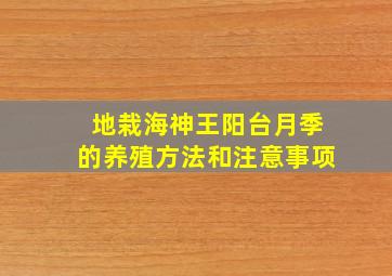 地栽海神王阳台月季的养殖方法和注意事项