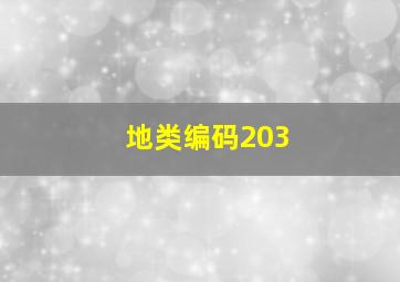 地类编码203