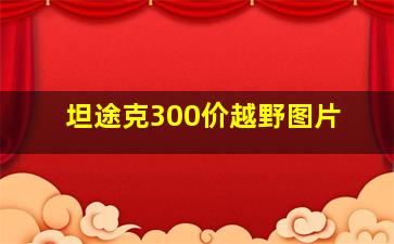 坦途克300价越野图片