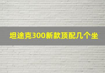 坦途克300新款顶配几个坐