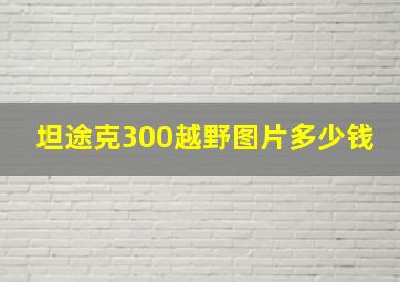 坦途克300越野图片多少钱