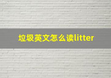 垃圾英文怎么读litter