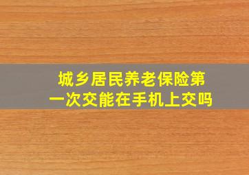 城乡居民养老保险第一次交能在手机上交吗