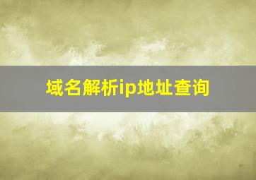 域名解析ip地址查询