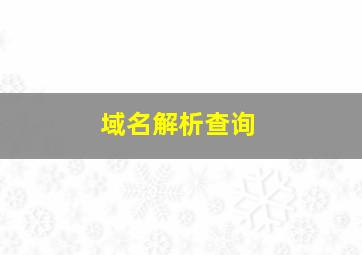 域名解析查询