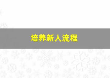 培养新人流程