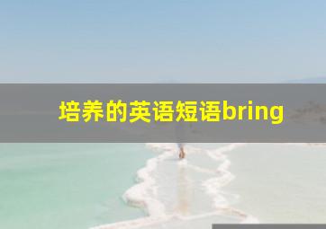 培养的英语短语bring