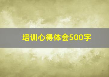 培训心得体会500字