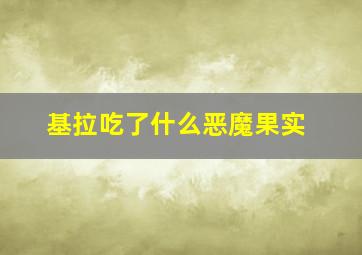 基拉吃了什么恶魔果实