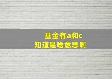 基金有a和c知道是啥意思啊