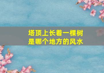 塔顶上长着一棵树是哪个地方的风水