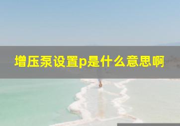 增压泵设置p是什么意思啊