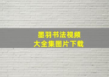 墨羽书法视频大全集图片下载