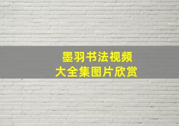 墨羽书法视频大全集图片欣赏