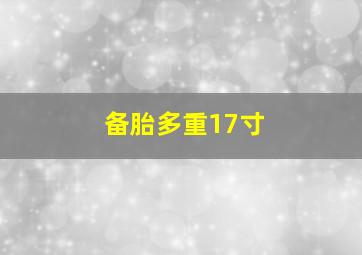 备胎多重17寸