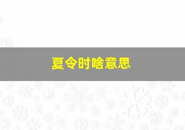 夏令时啥意思