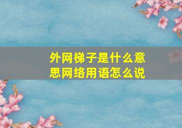 外网梯子是什么意思网络用语怎么说