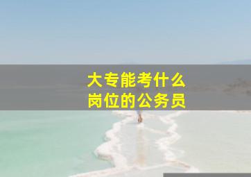 大专能考什么岗位的公务员