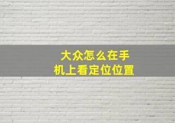 大众怎么在手机上看定位位置