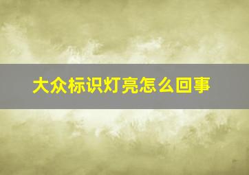 大众标识灯亮怎么回事