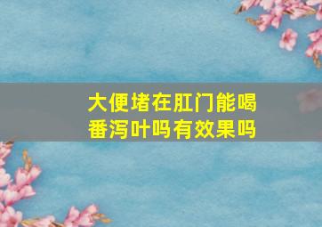 大便堵在肛门能喝番泻叶吗有效果吗