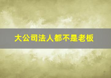 大公司法人都不是老板