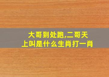 大哥到处跑,二哥天上叫是什么生肖打一肖