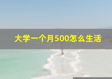 大学一个月500怎么生活