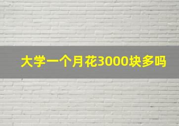 大学一个月花3000块多吗