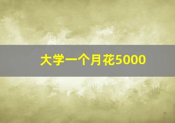 大学一个月花5000