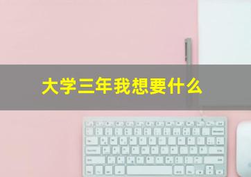 大学三年我想要什么