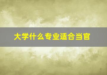 大学什么专业适合当官