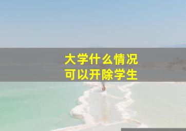 大学什么情况可以开除学生