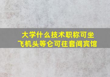 大学什么技术职称可坐飞机头等仑可往套间宾馆