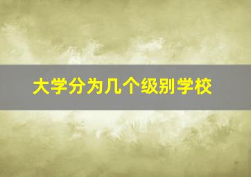 大学分为几个级别学校