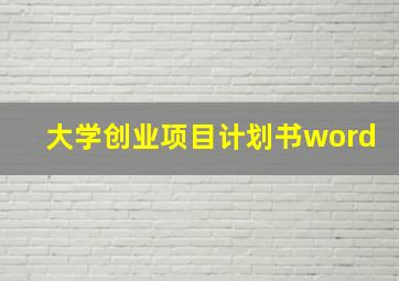 大学创业项目计划书word