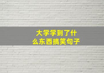 大学学到了什么东西搞笑句子