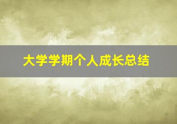 大学学期个人成长总结